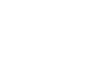 Toyota Racing Style Guide